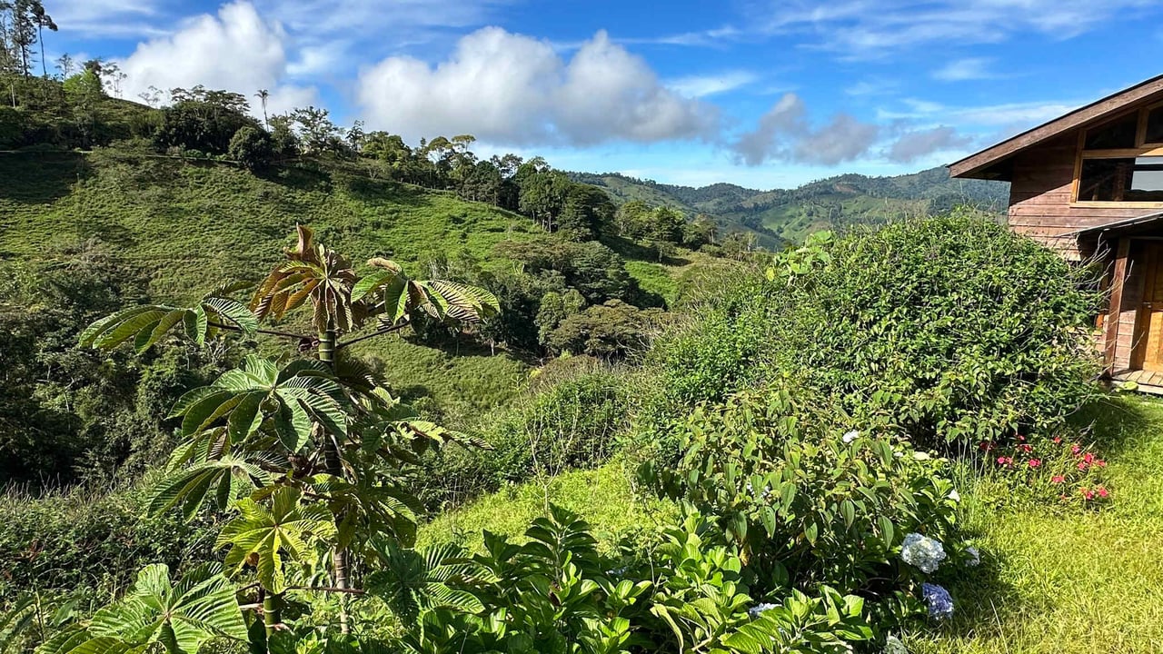 Beautiful Mountain View Farm for Sale