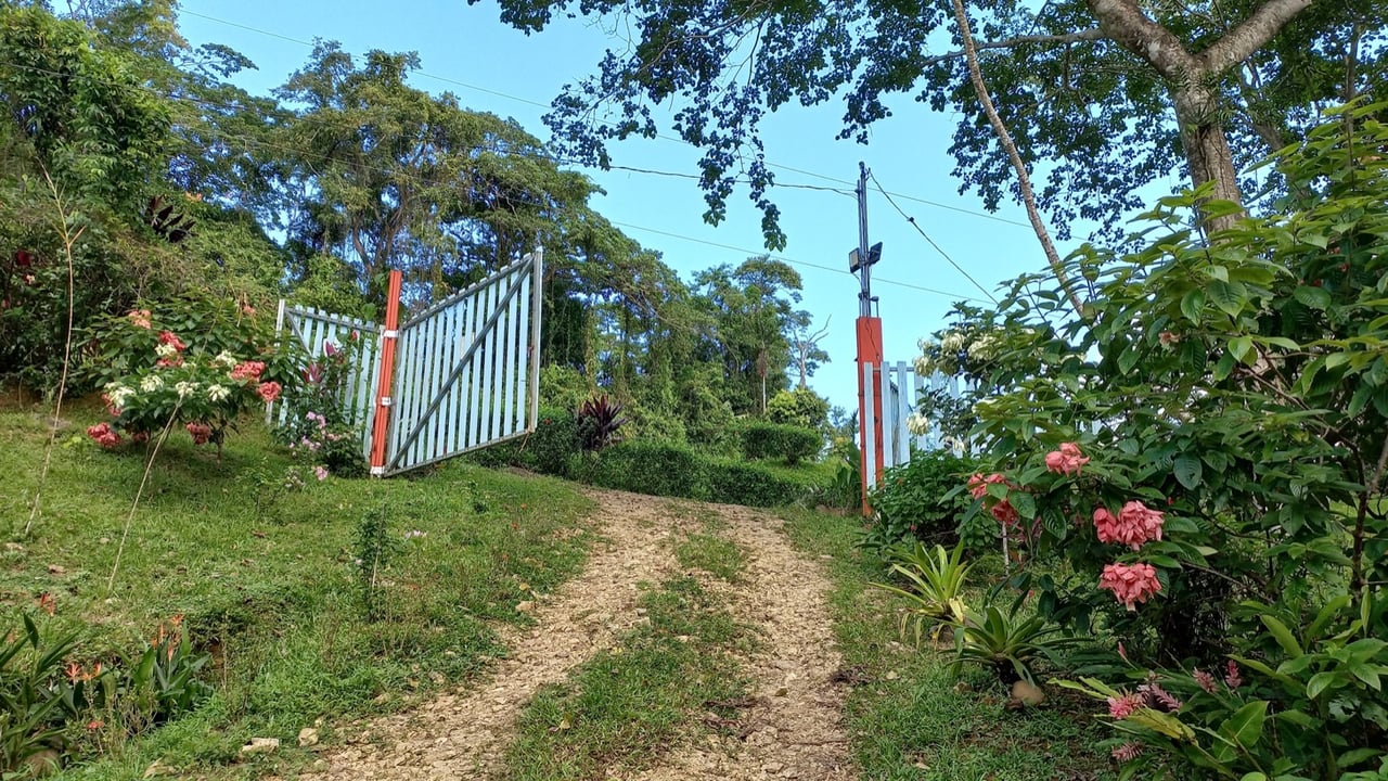 Charming Mountain Retreat with 2 Bedroom Home and Rustic Cabin