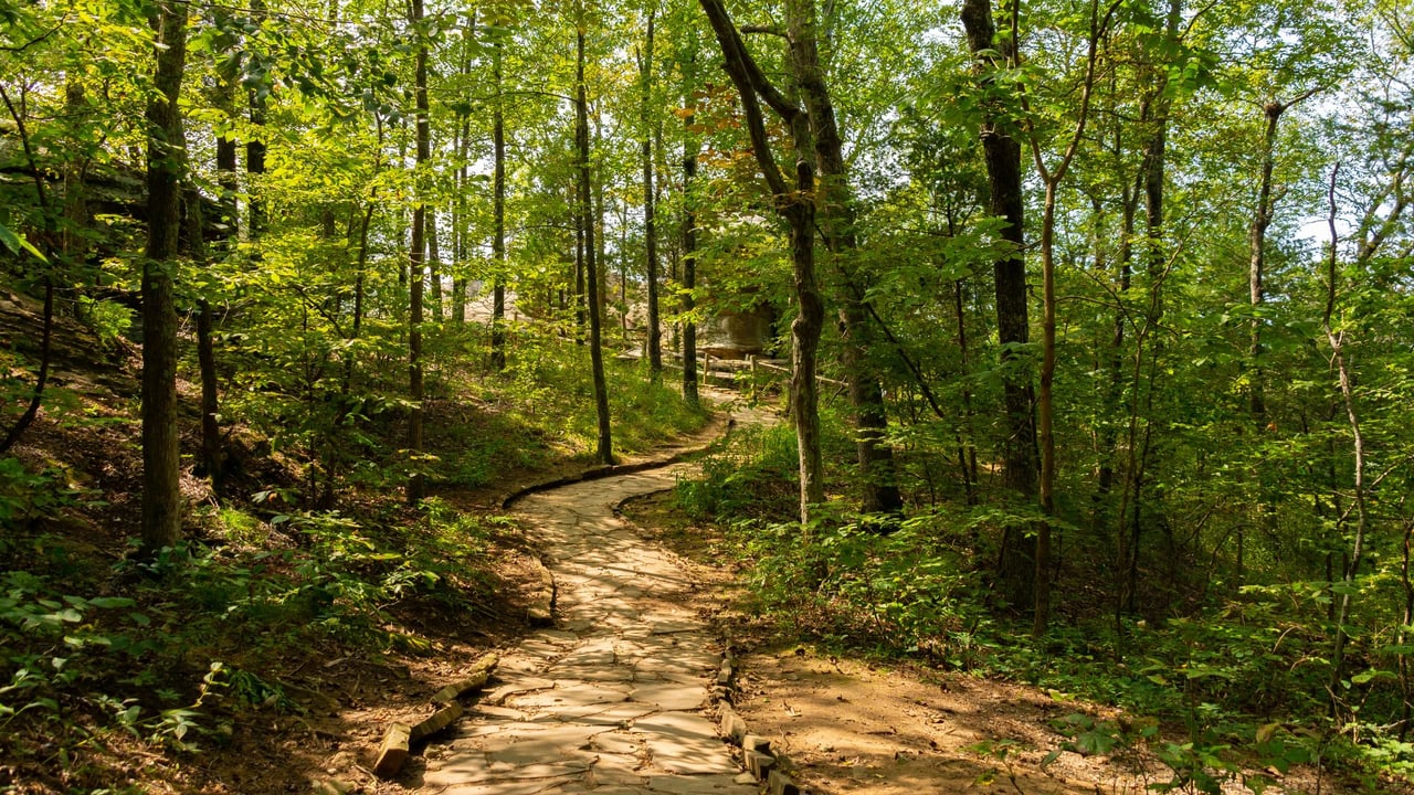 The Woodlands