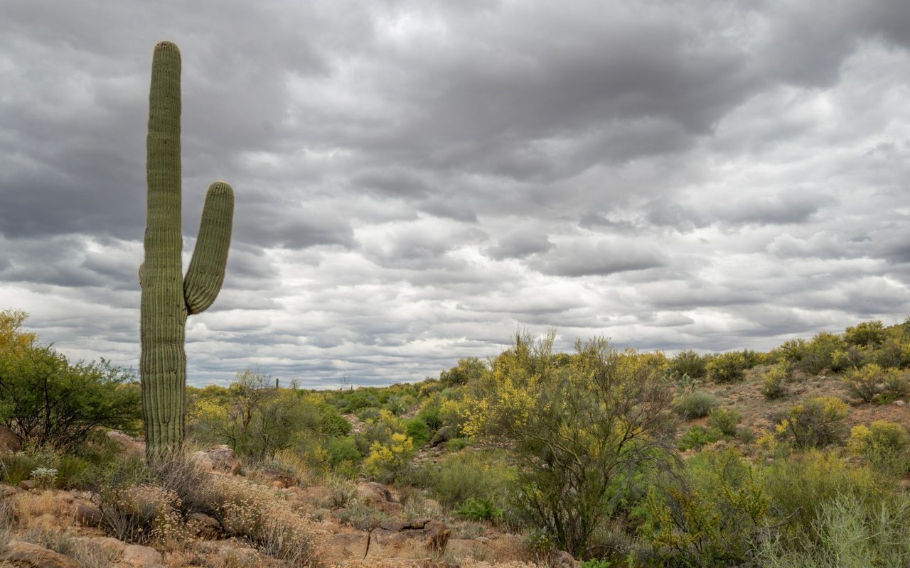 Mohave Valley