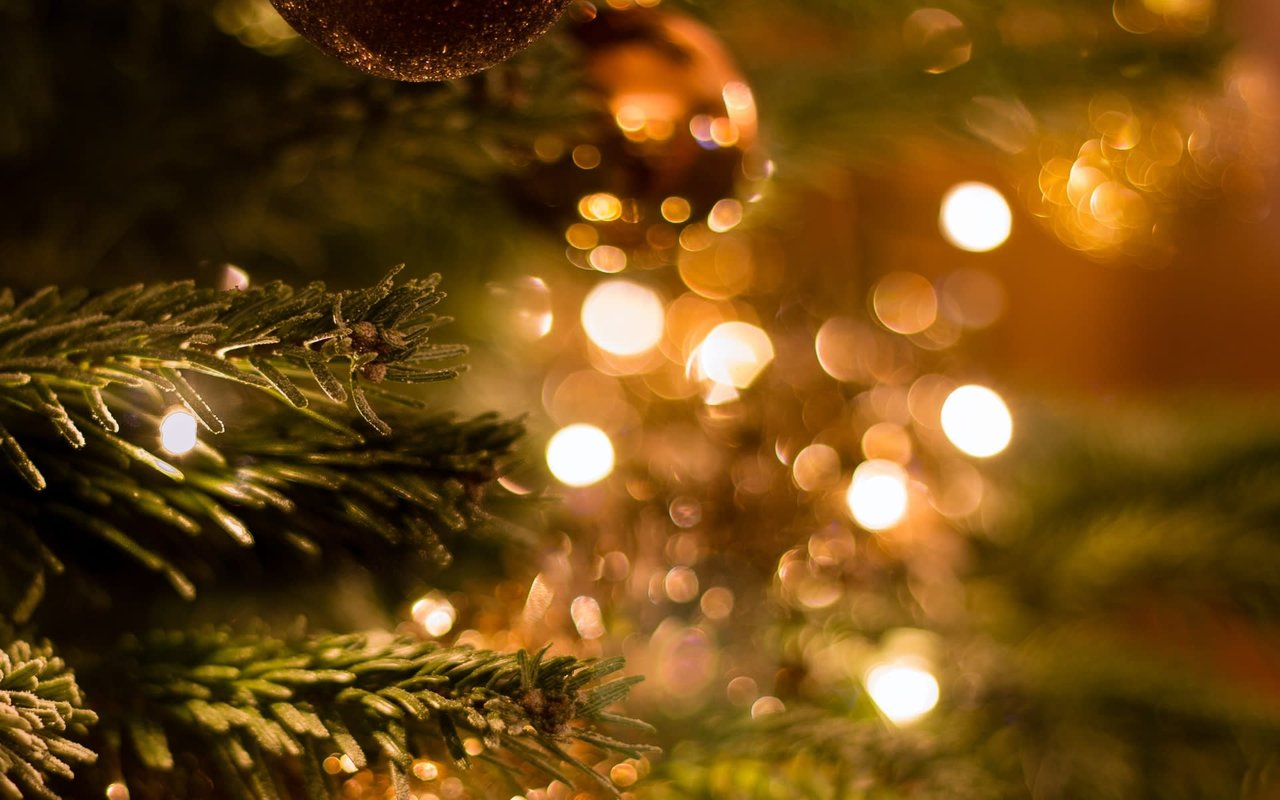 Parade of Lights is Tomorrow Night!