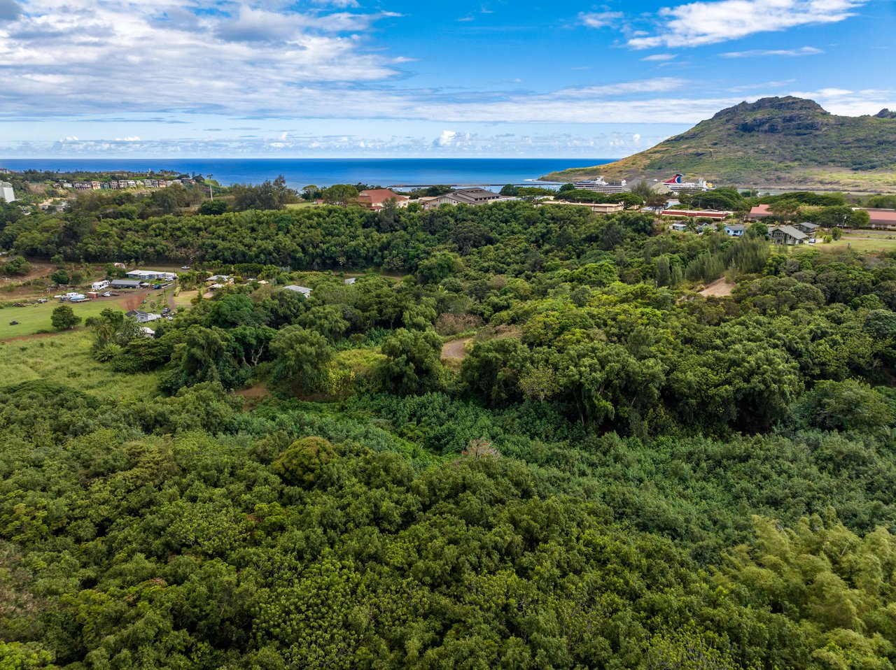 NEW LISTING: Kahumoku Road, Unit 6, Lihue, HI 96766