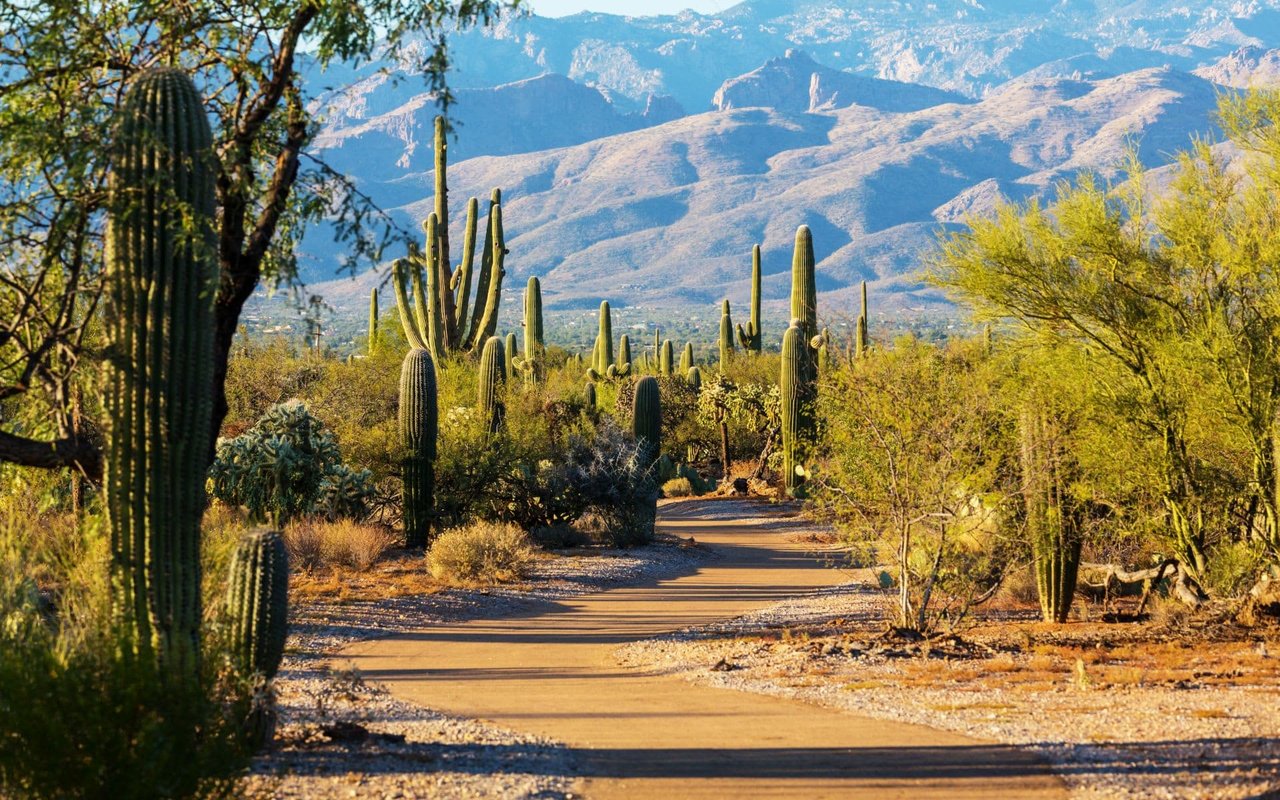 Living in Oro Valley