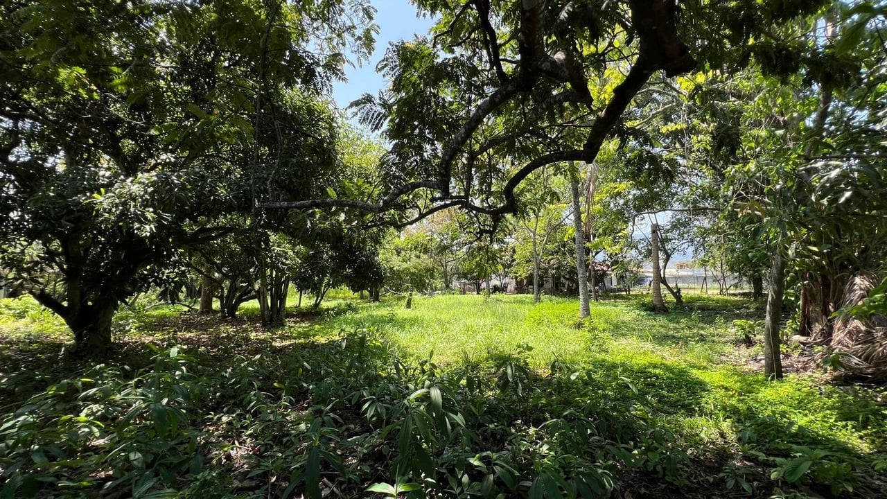 Premium Flat Residential Lot, Santa Ana, San Jose