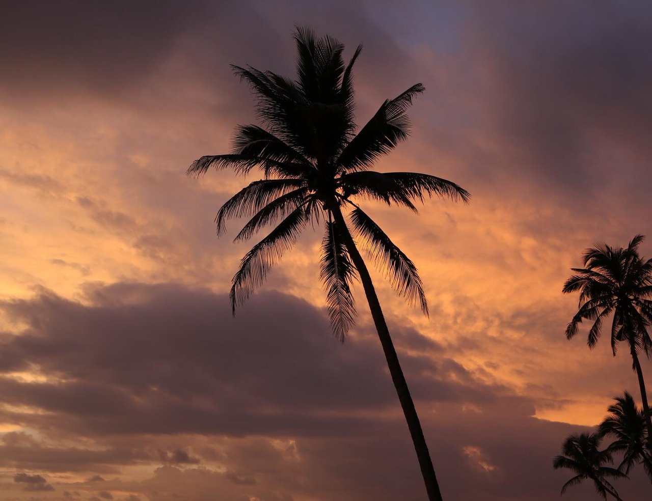 Villa Santai Mandiri Beach Surf Resort for Sale