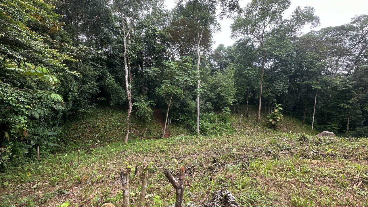 Ready to Build Ojochal Land with Riverfront 1.5 Acres, Residential and Commercial Possibilities!