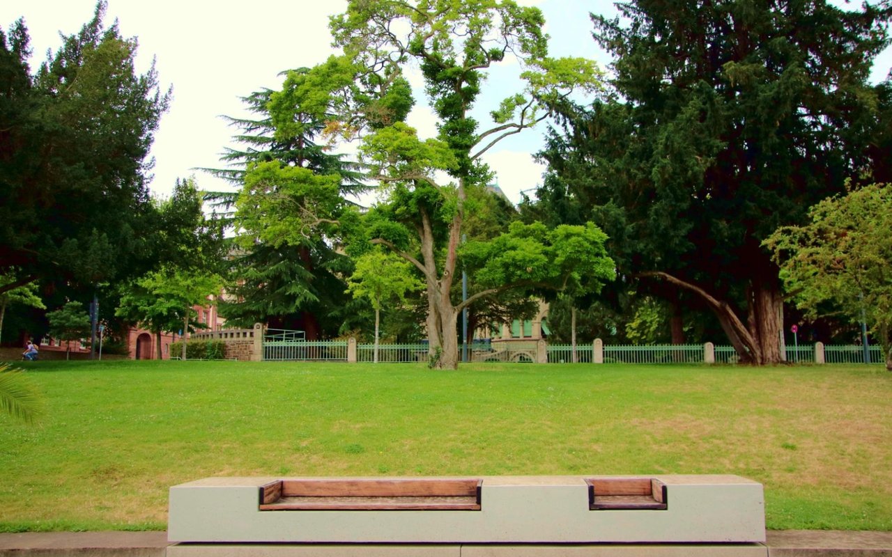 5 Neighborhood Amenities that Increase Home Value