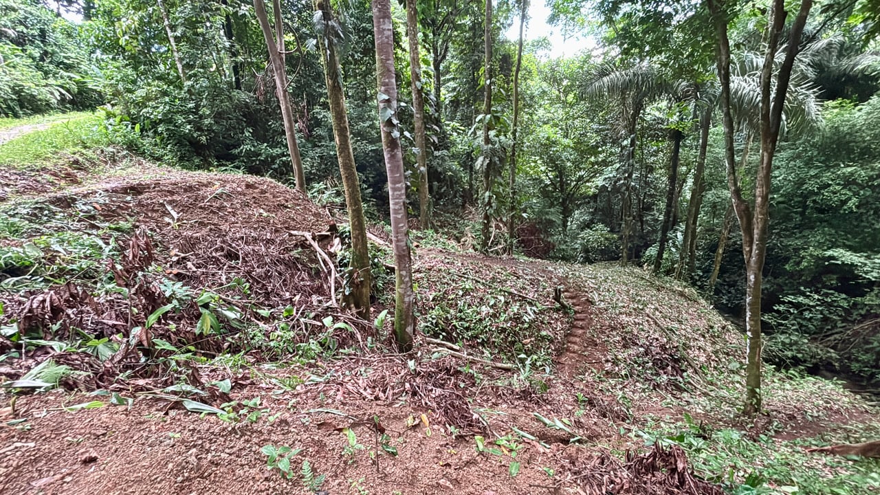 Unique property with creek and waterfall in lush jungle