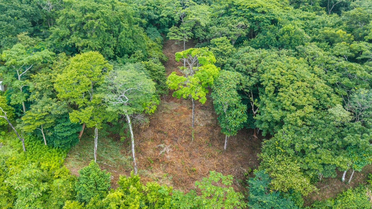 Pacific View Building Lot, Santa Teresa, Puntarenas
