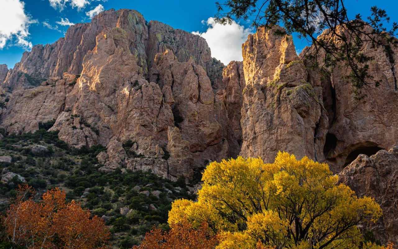 Cave Creek