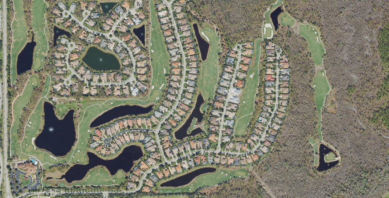 Olde Cypress