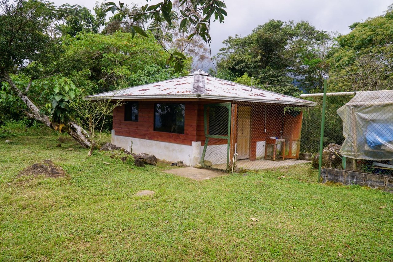Sustainable Organic Mountain Farm, Perez Zeledon, San Jose