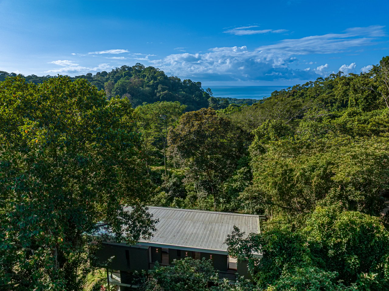 4 Bedroom Jungle Paradise with Ocean Views
