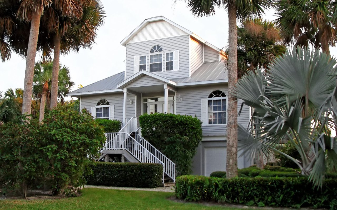 Palmetto