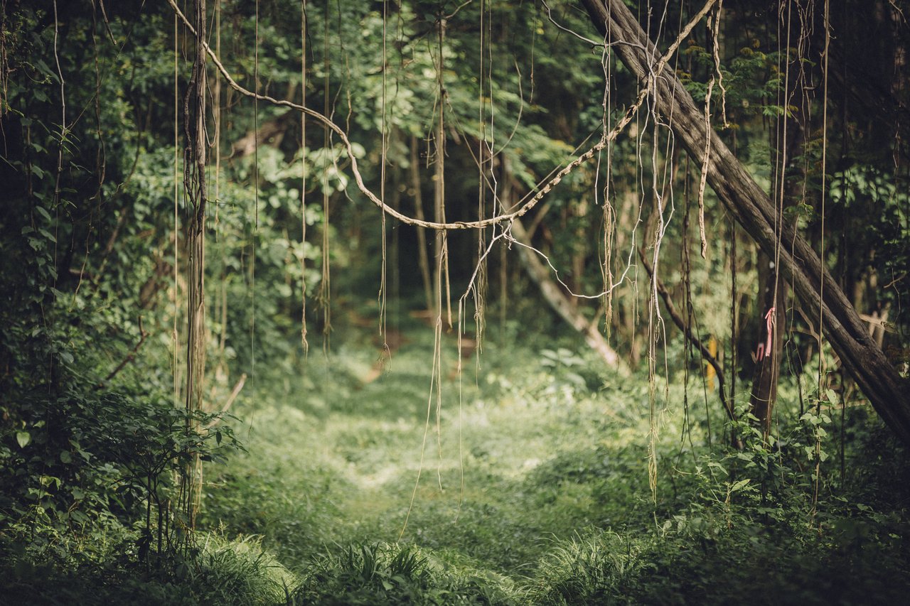  Punta Sabana & Mar Serena