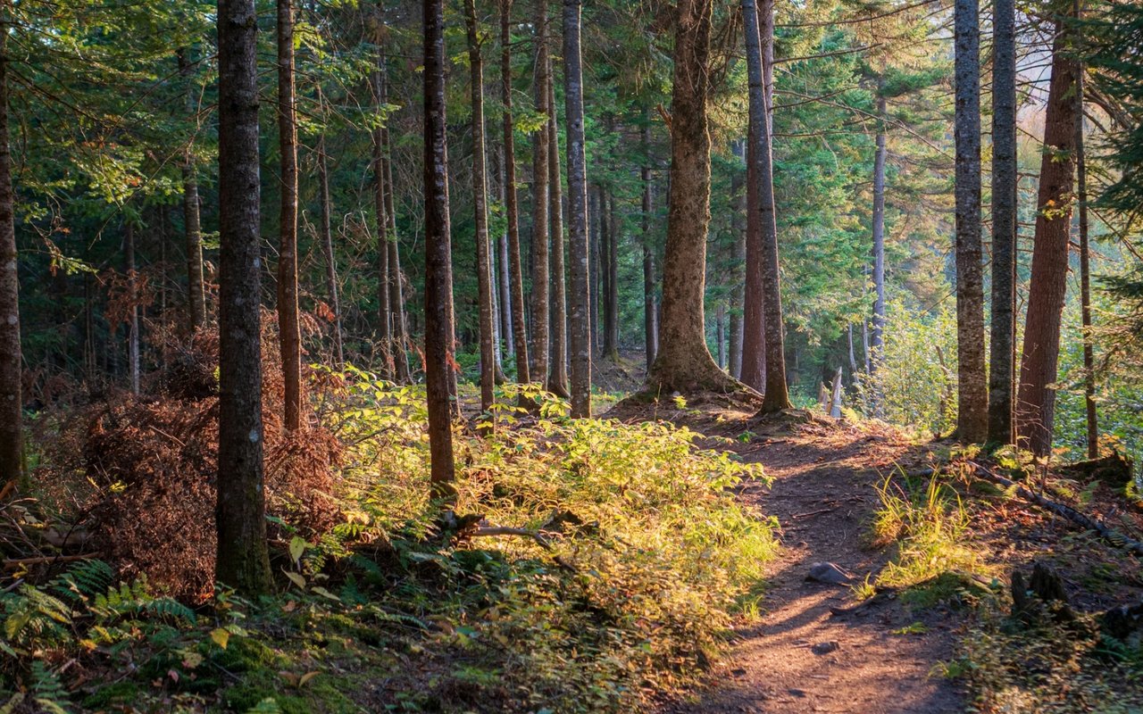 The Top Attractions in Newtown, CT For Locals or Tourists