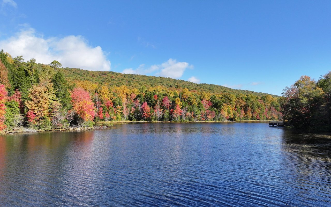 A lake bordered by colorful autumn trees beneath a clear blue sky.