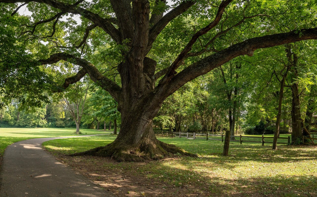 Cedar Park