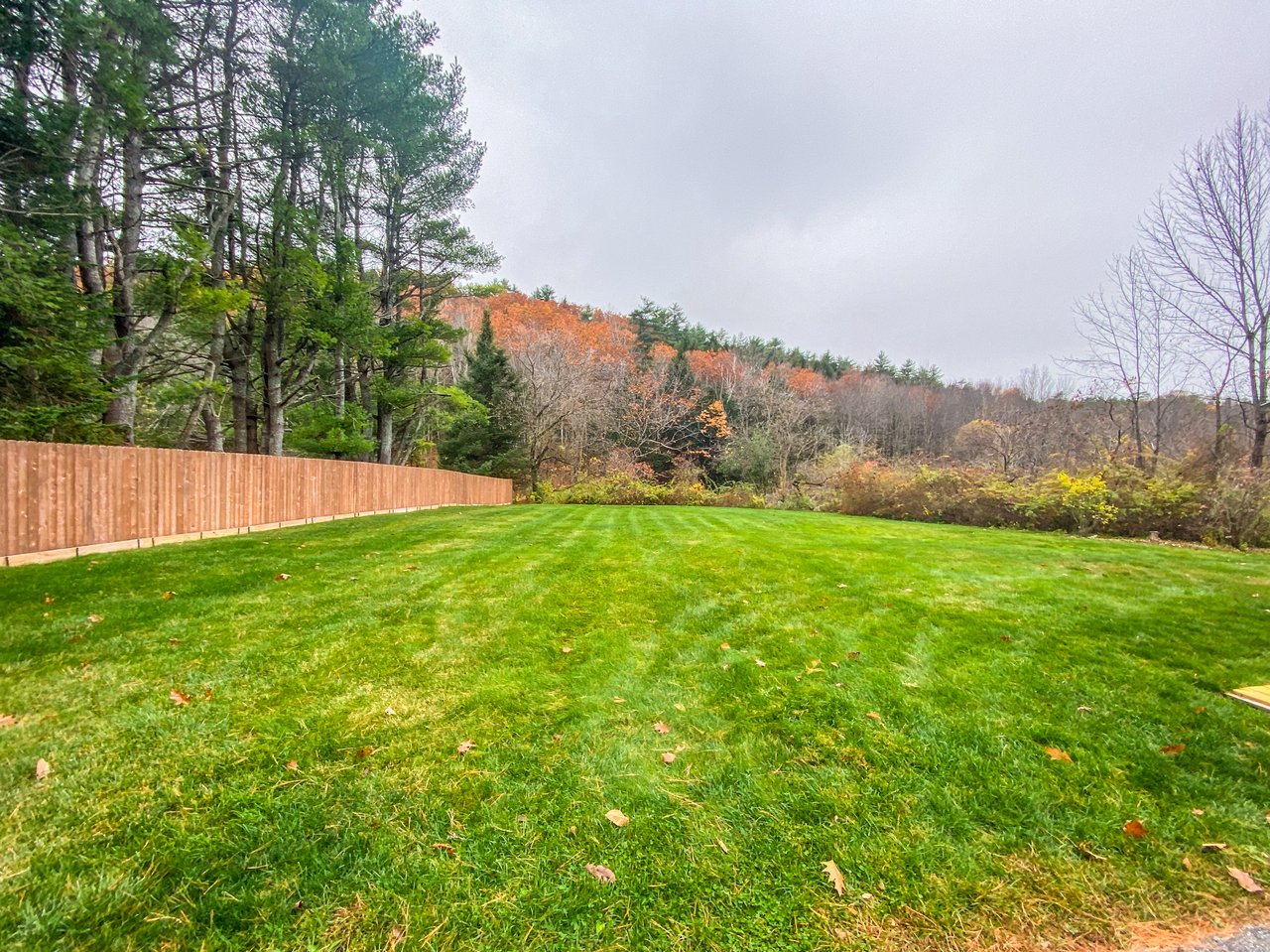 Rental Available December 13th