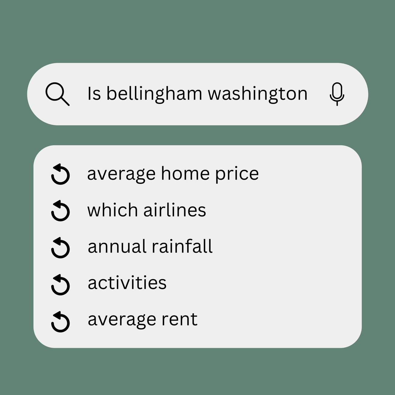 Bellingham Itty Bitty: Your Questions Answered