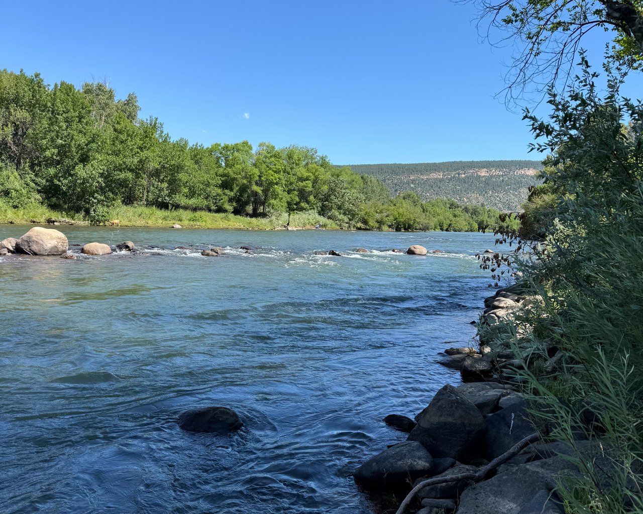 Animas River