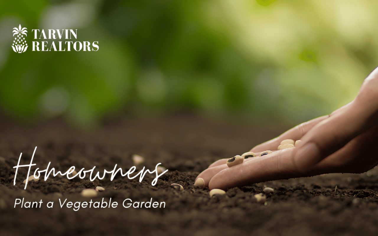 5 Things to Do Before Planting a Vegetable Garden