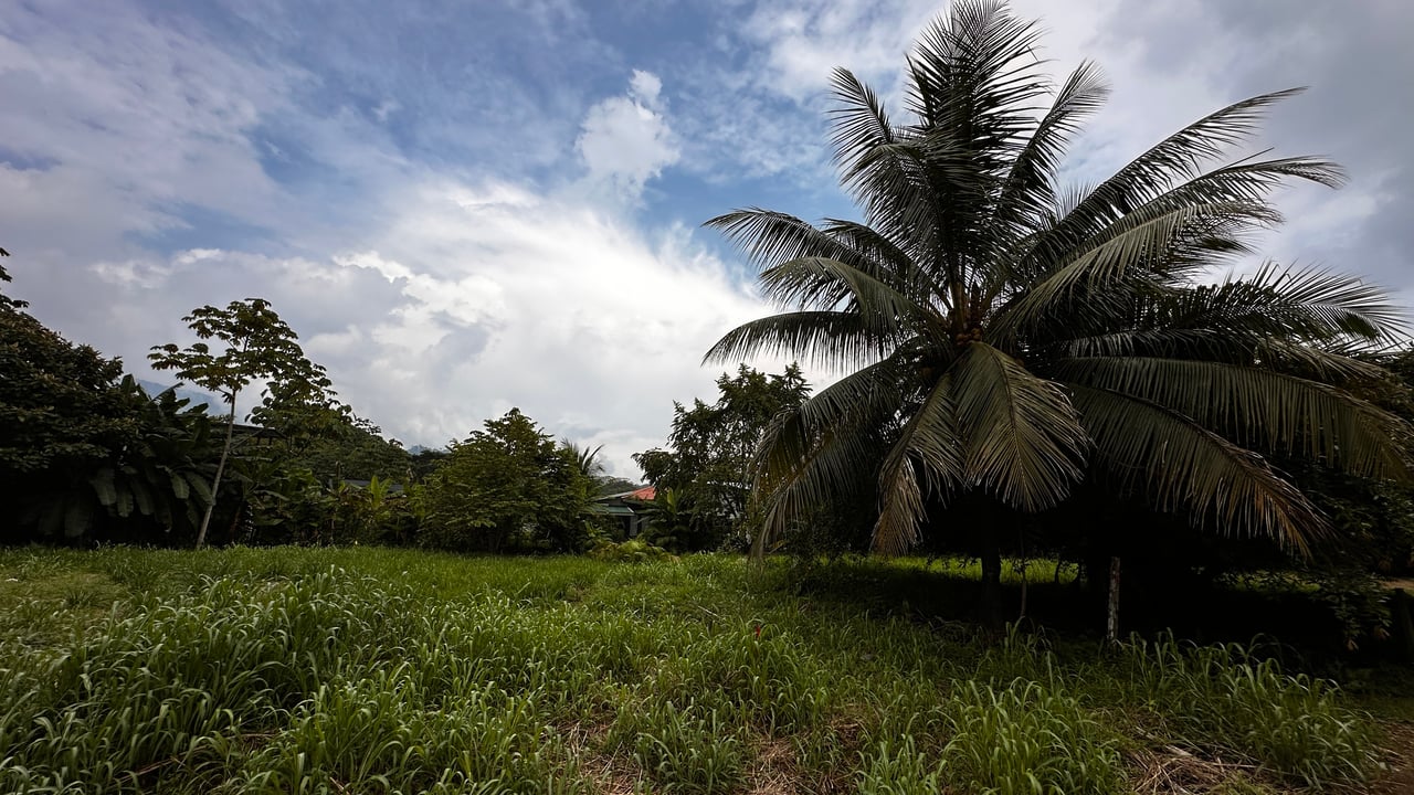 Beach Area Lot in Quiet Corner on Uvita Bahia