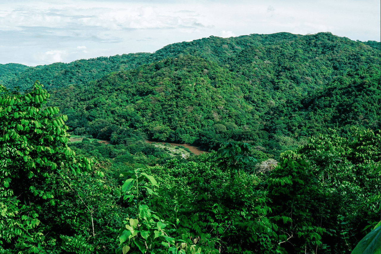 Finca Tremblade - 170 Acre Jungle And Oceanview Development In Nosara