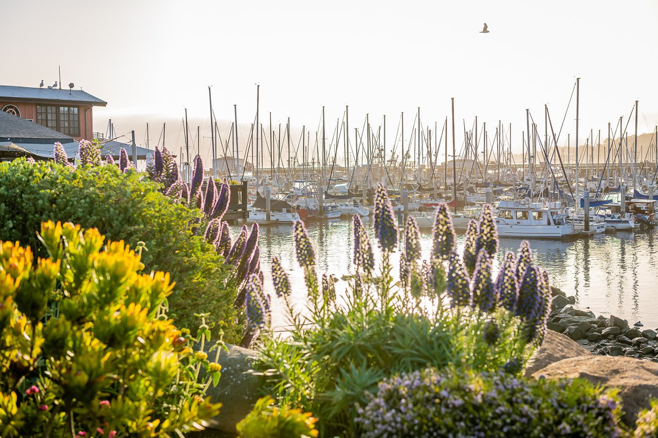 Monterey