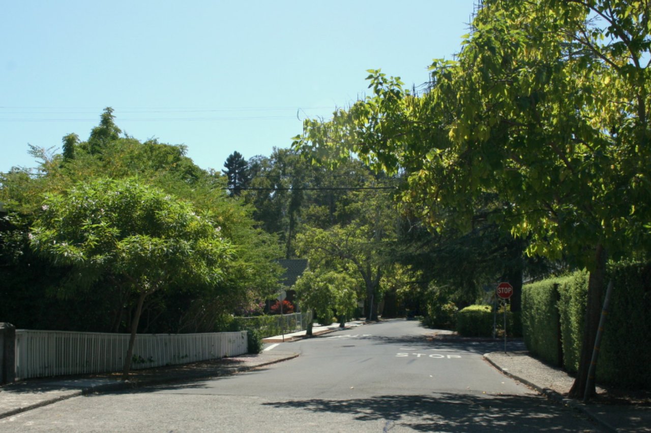 Sycamore Park & Tamalpais Park