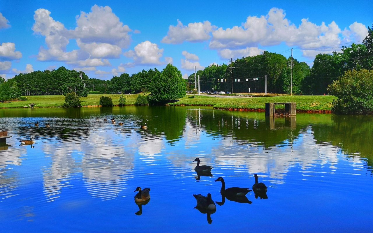 Johns Creek