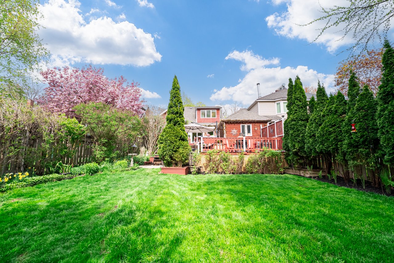 22 Worthington Cres - a Gem in Bloor West Village