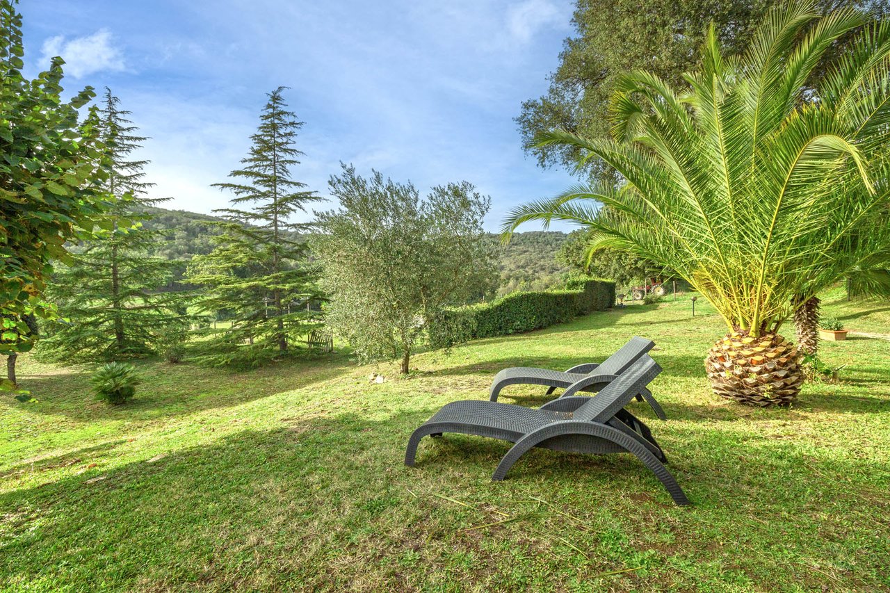 Organic Agriturismo in Roccastrada