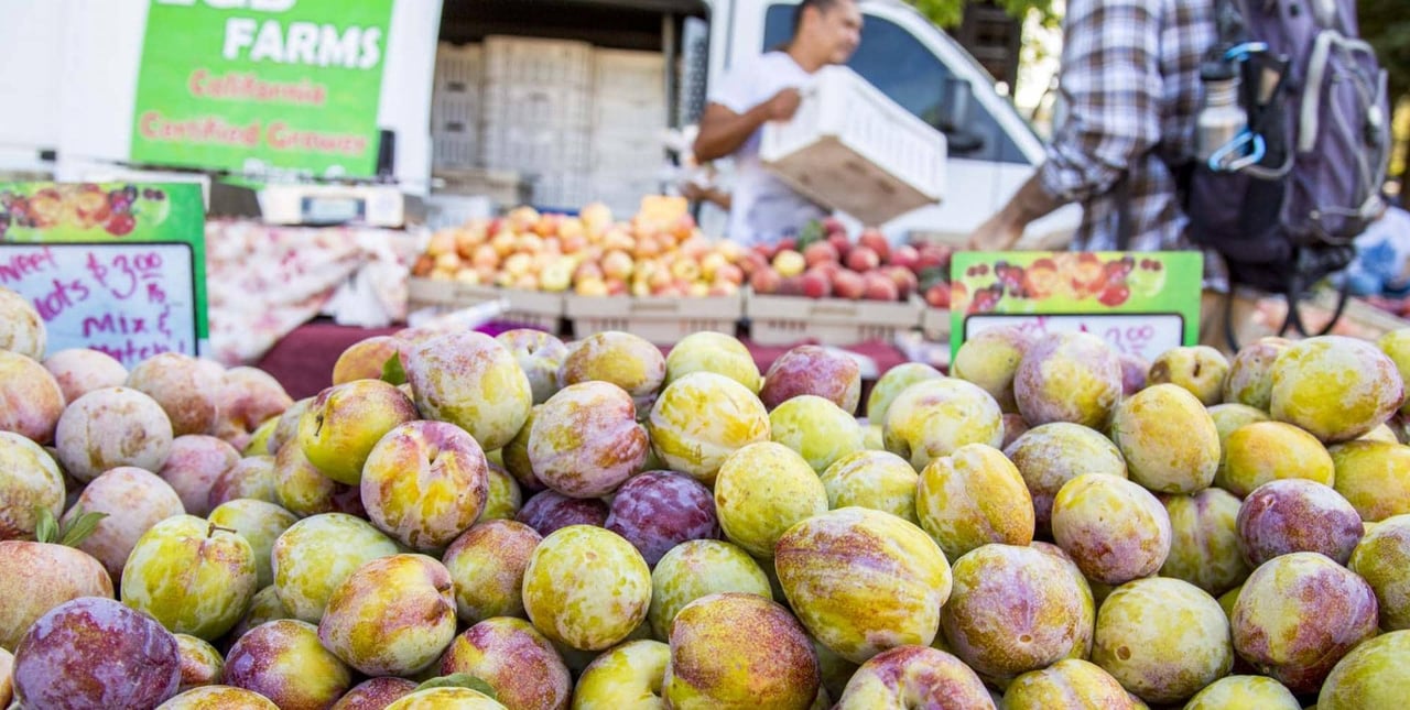 Top Things to Do This Fall and Thanksgiving