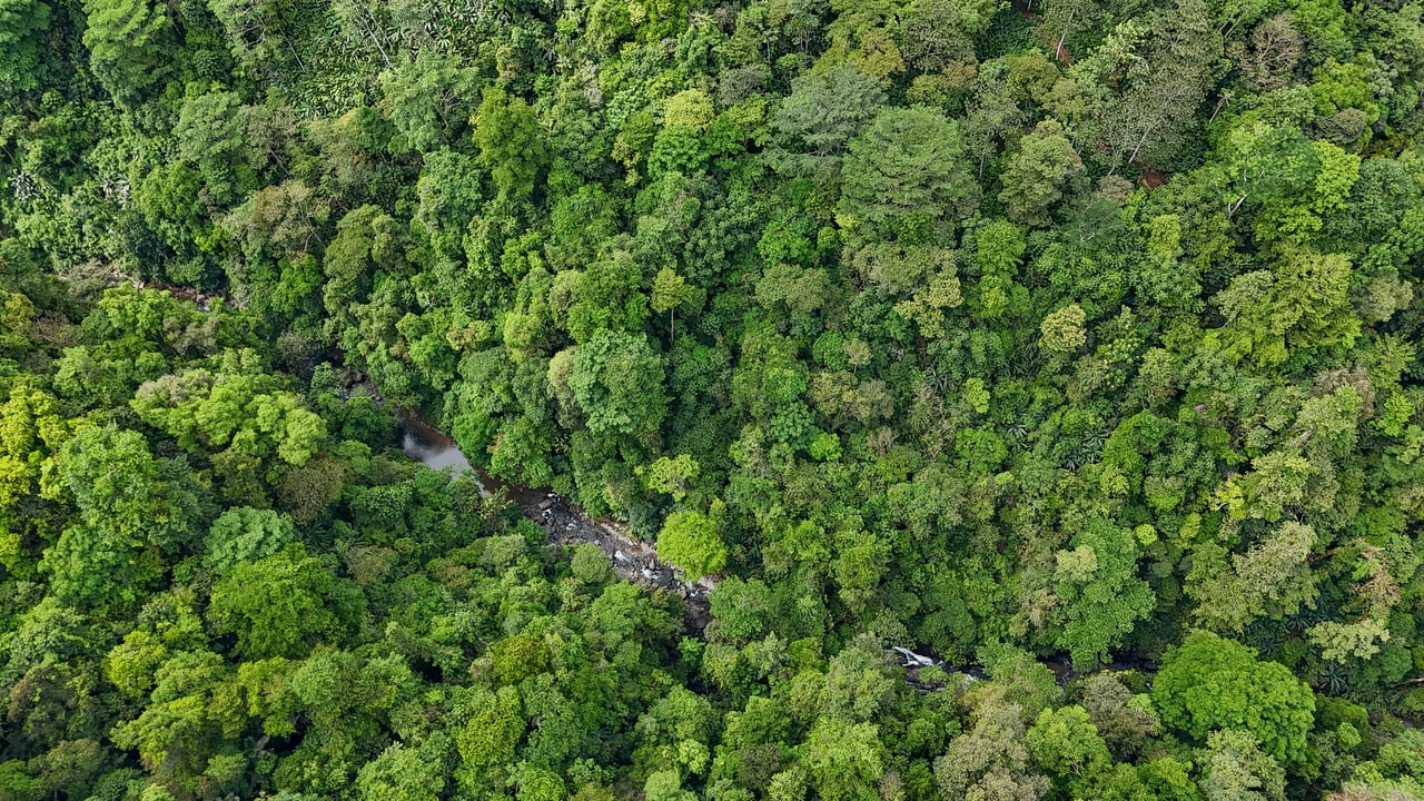 A Huge Rainforest, River & Waterfall Property With TWO Mountain & Jungle-View Luxury Homes on a Massive 4.93 Acre Lot – PLUS an Additional Plantel ready for Development
