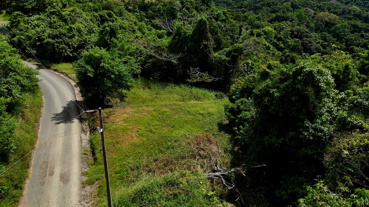 Ocean-View Lot in Chontales – 9,057 m² – Osa, Puntarenas