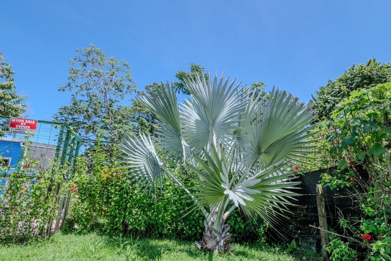 Playa Chamán Beach Home for Sale – 3 Br, Pool, Walk to the Beach | $329,000