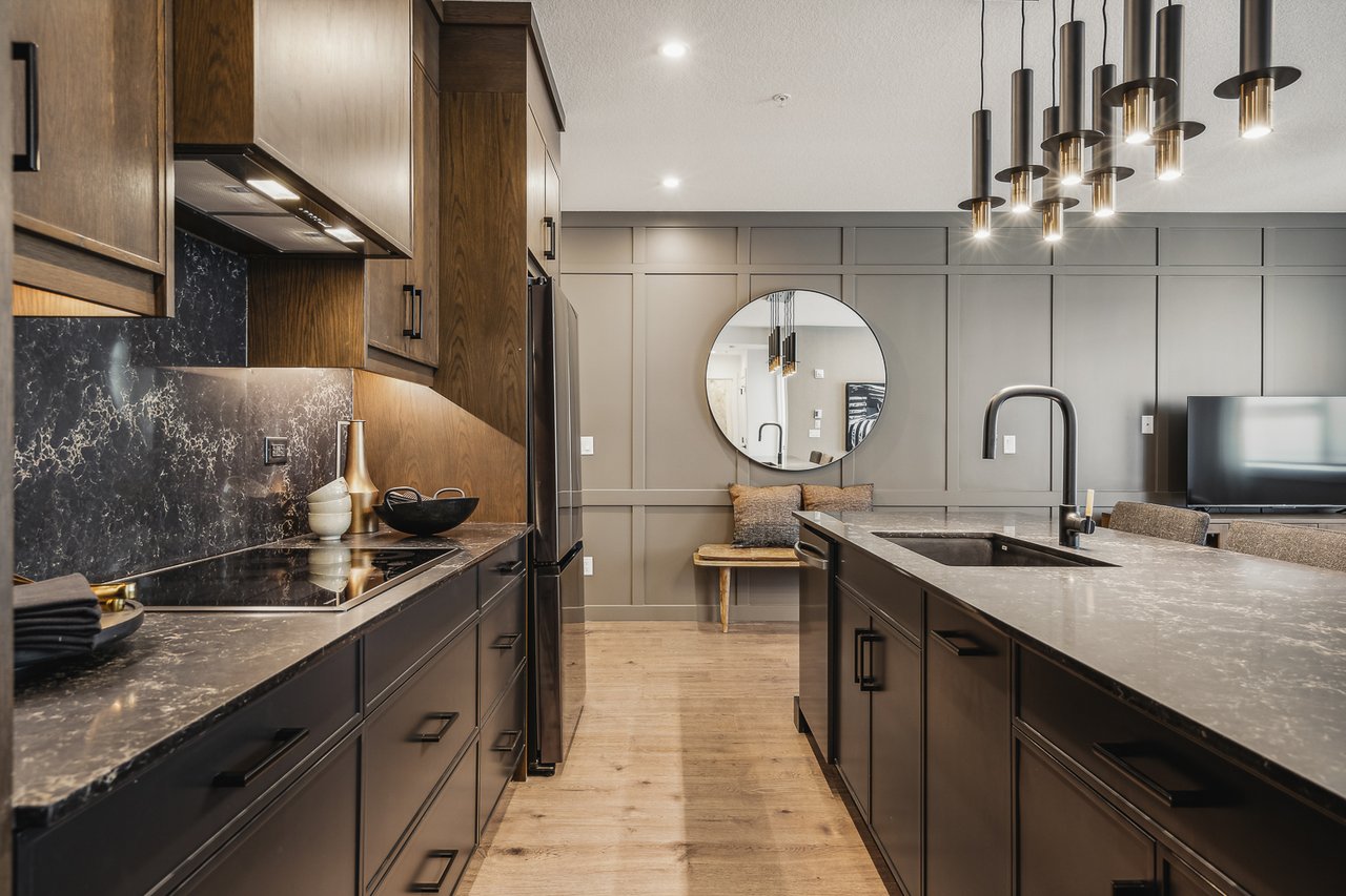 Townhome at Altitude at Stewart Creek | Summer 2026 Posession