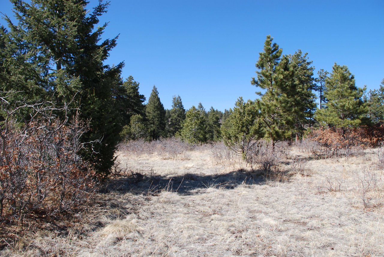 Elk Mountain Ranch