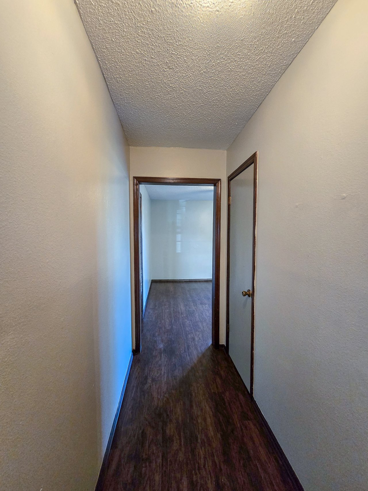 104 Hardesty Dr.