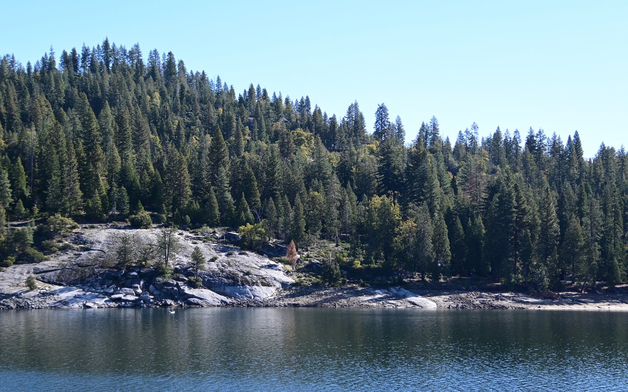 Shaver Lake