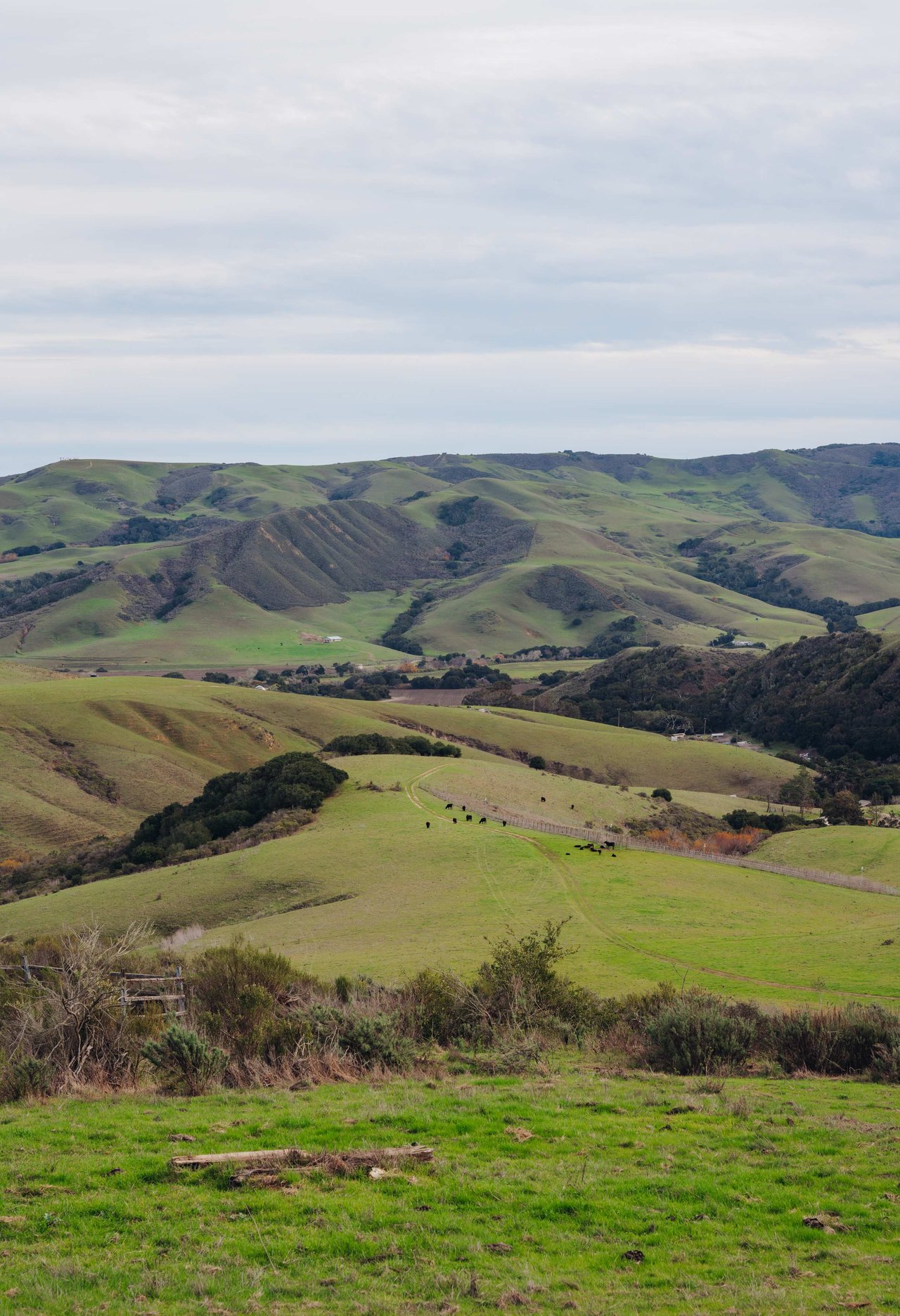 La Hoya Creek Ranch