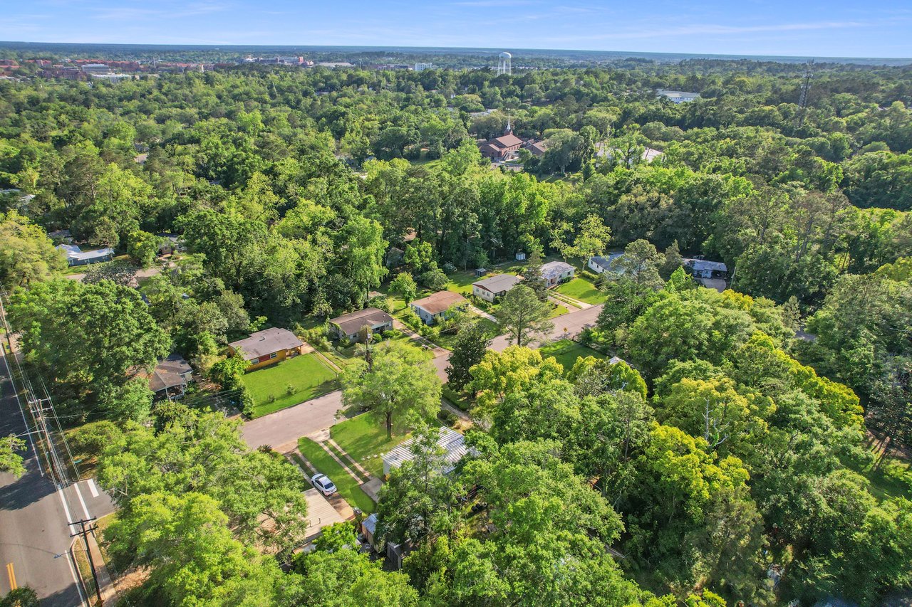 An aerial view of the residential area around Levy Park, highlighting houses, tree-lined streets, and green spaces.