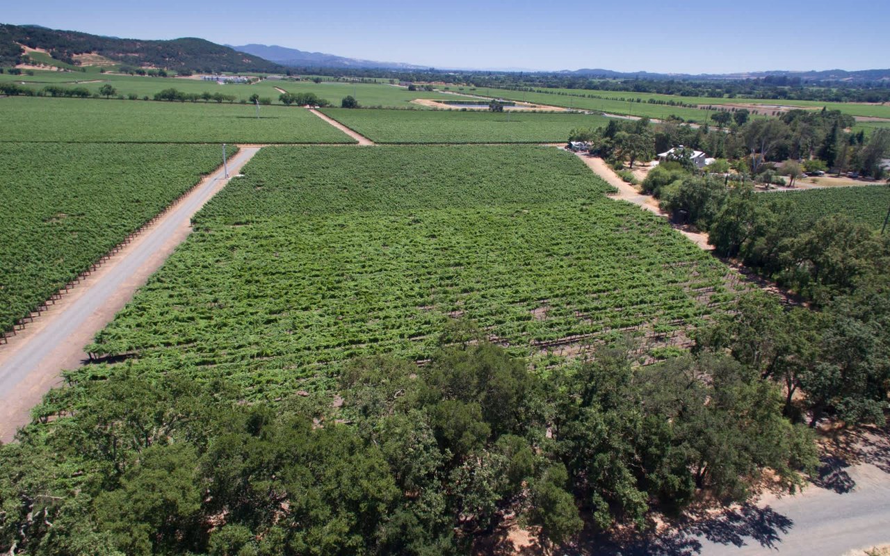 Stag's Leap, Napa Valley