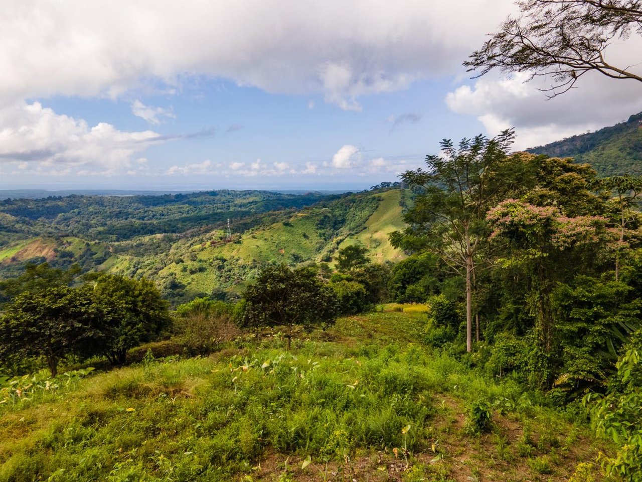 138 Acres of Ocean View Land Overlooking the Southern Zone