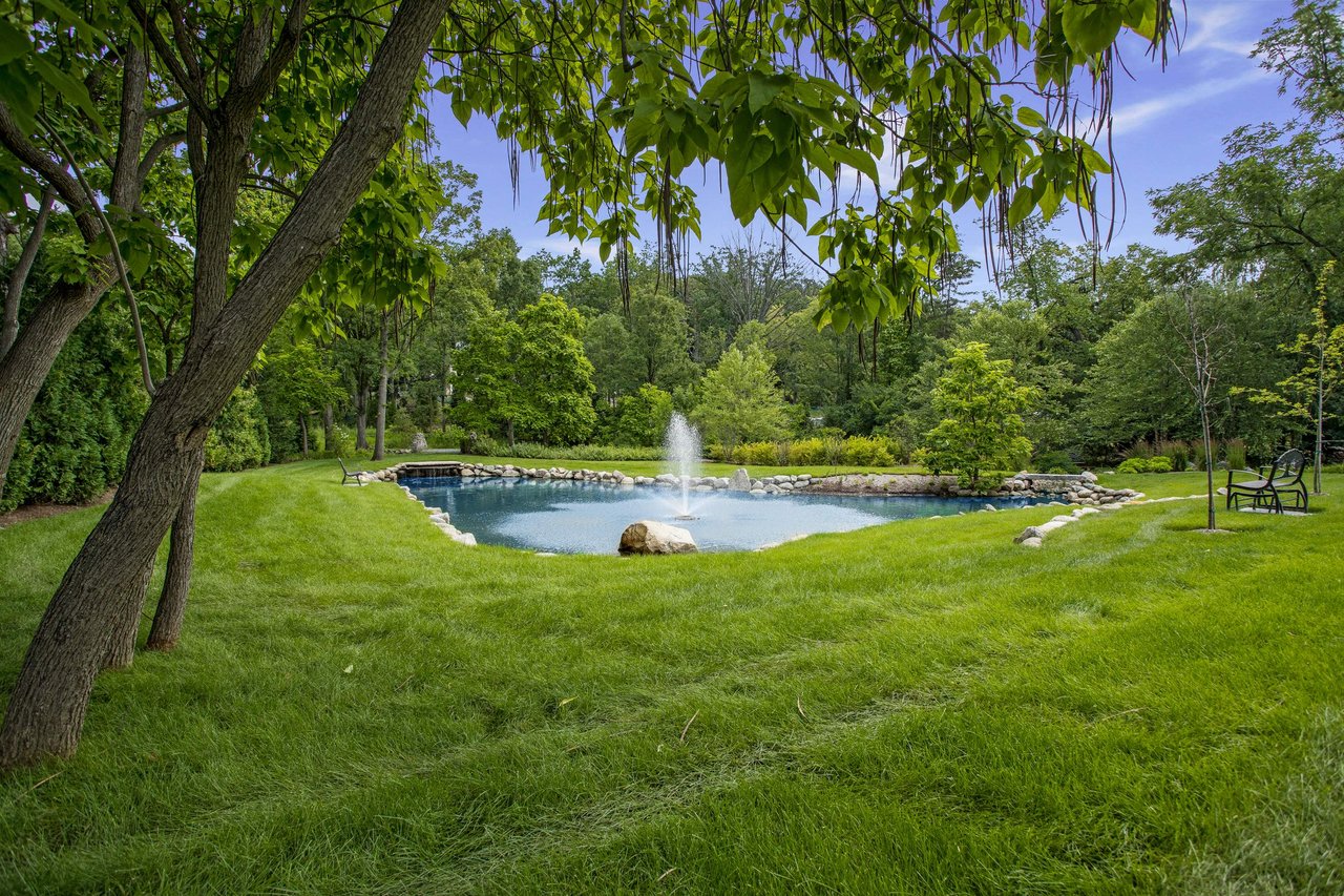 Pond Renovation