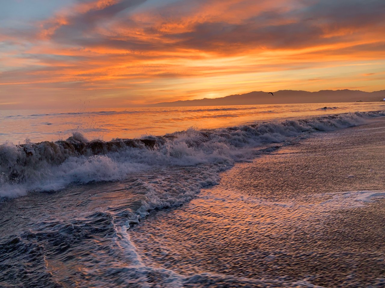 June Newsletter: As the weather heats up, so does the housing market!