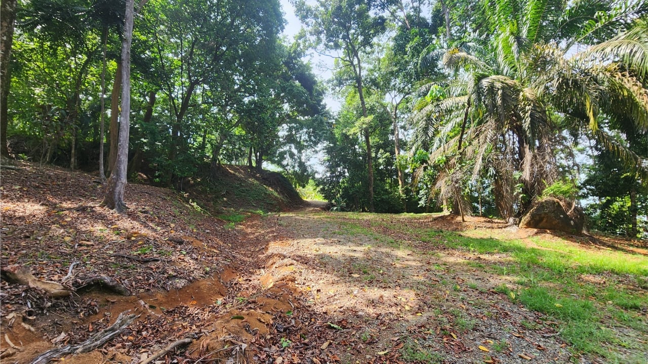 Oceanfront Resort Development Land, Uvita, Puntarenas