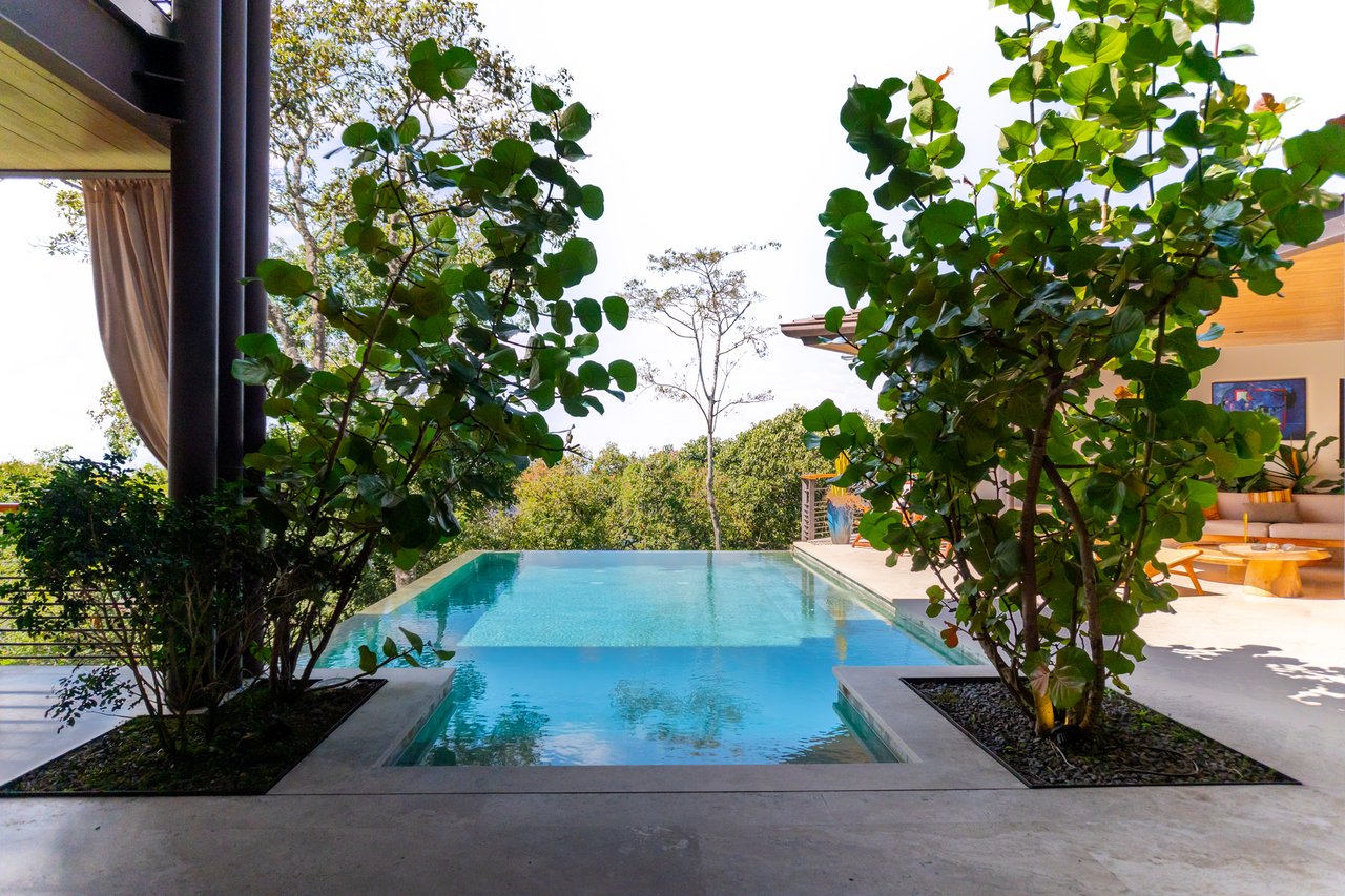 Modern Forest Infinity Pool Estate, Santa Ana, San Jose