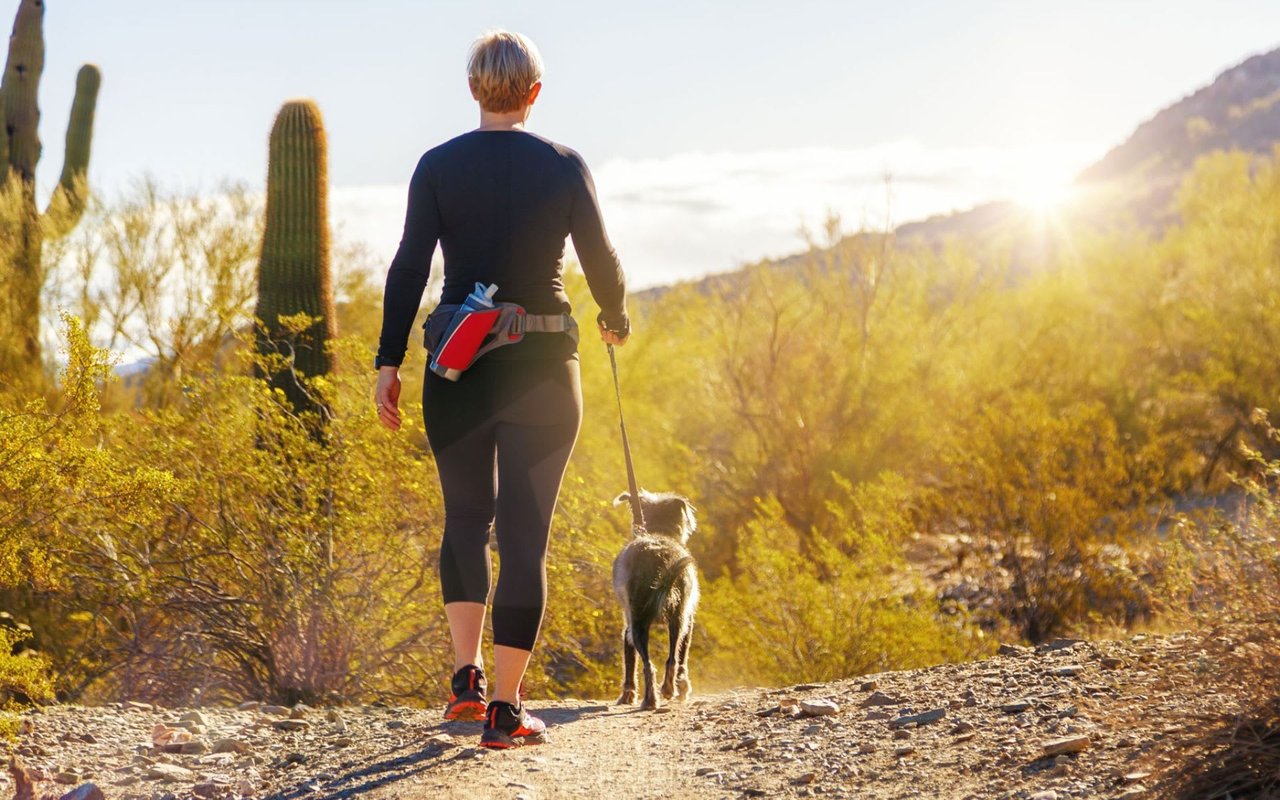 Things to Do in Gilbert